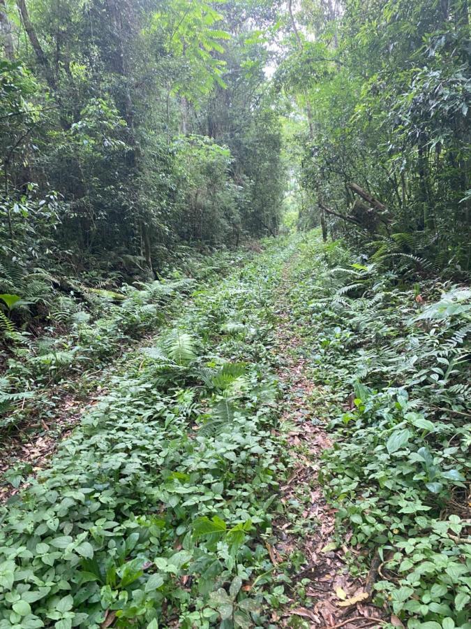 Reserva La Mision Mocona - Solo Adultos Saltos del Moconá Exterior foto