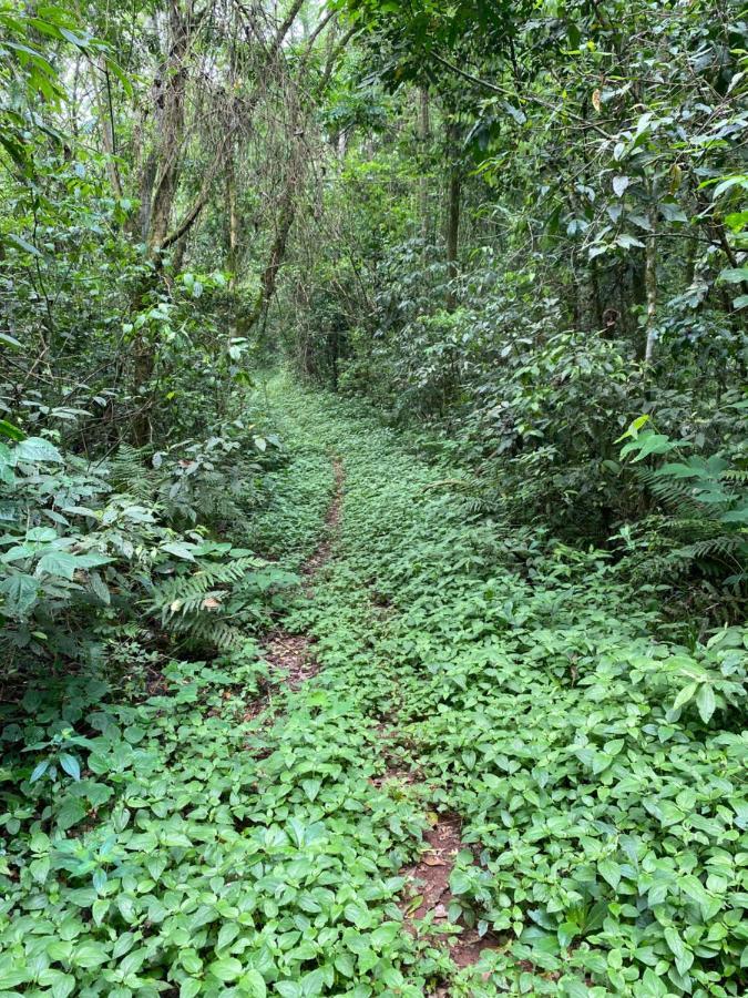 Reserva La Mision Mocona - Solo Adultos Saltos del Moconá Exterior foto