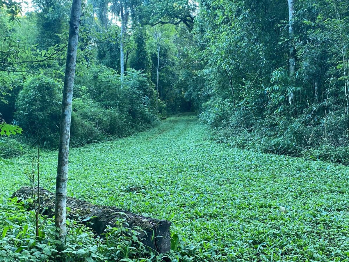 Reserva La Mision Mocona - Solo Adultos Saltos del Moconá Exterior foto